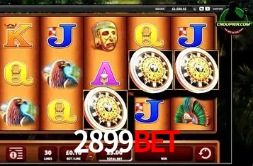 A Experiência Imersiva dos Cassinos Ao Vivo no 2899bet